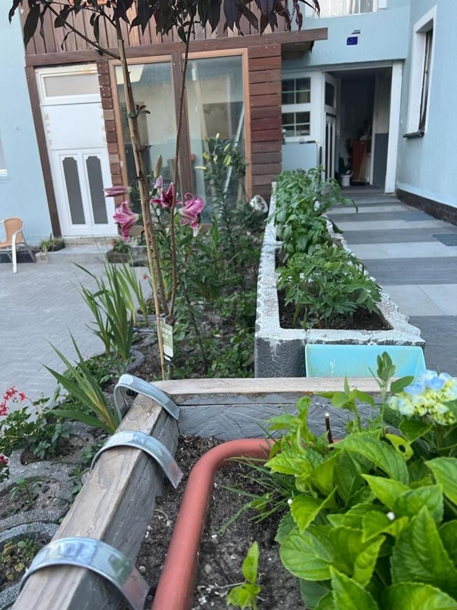 Apartamento Antike Wohnmoeglichkeit Kurz Und Langfristig 100Qm Erdgeschoss Lauchhammer Exterior foto