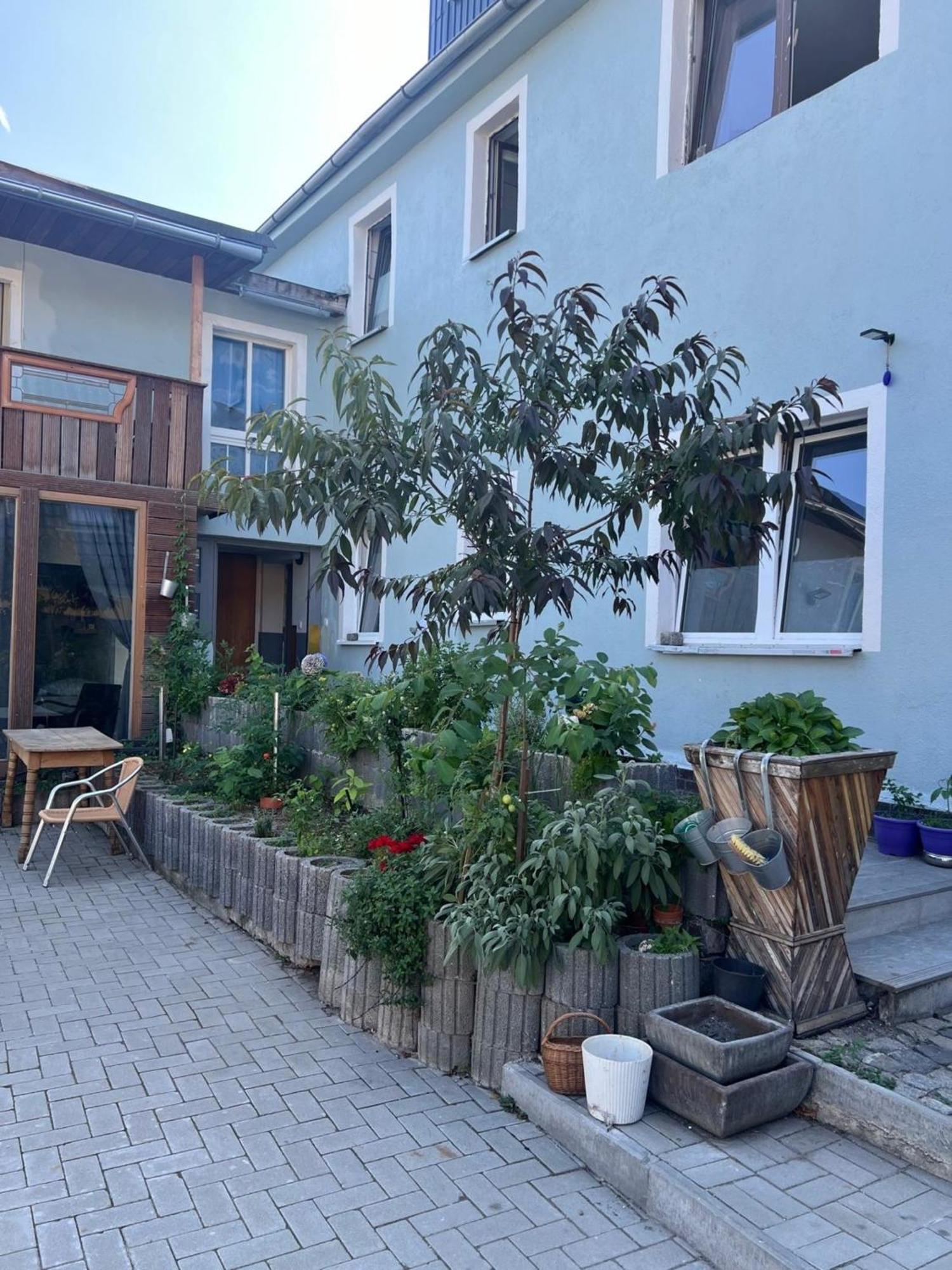 Apartamento Antike Wohnmoeglichkeit Kurz Und Langfristig 100Qm Erdgeschoss Lauchhammer Exterior foto